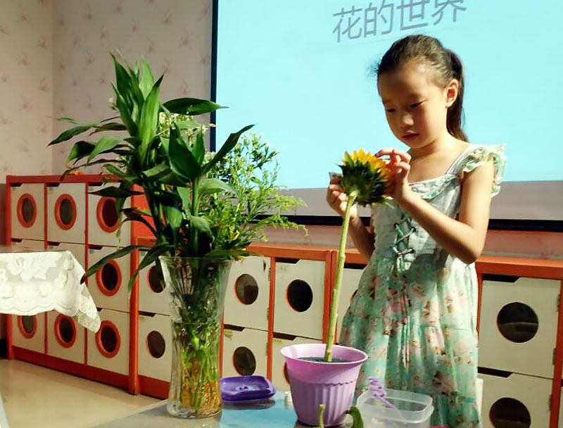 IMG_1533_副本.jpg IMG_1533_副本.jpg